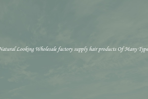 Natural Looking Wholesale factory supply hair products Of Many Types