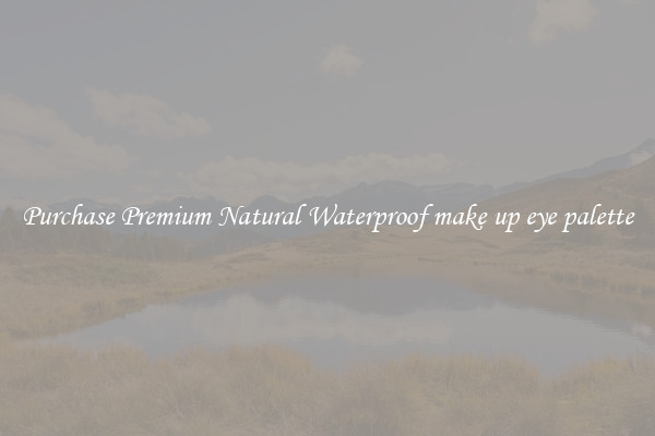 Purchase Premium Natural Waterproof make up eye palette