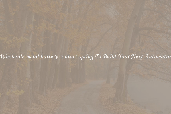 Wholesale metal battery contact spring To Build Your Next Automaton
