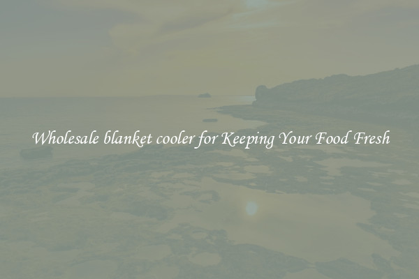Wholesale blanket cooler for Keeping Your Food Fresh