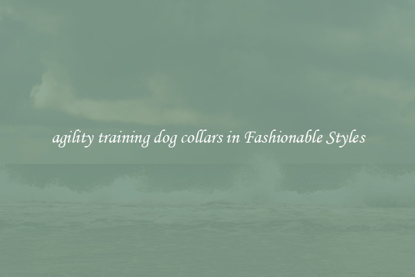 agility training dog collars in Fashionable Styles