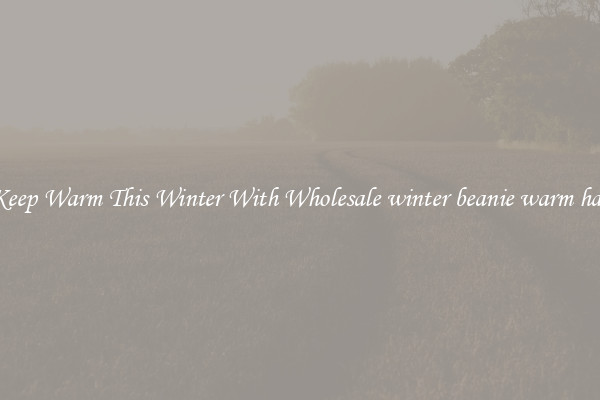 Keep Warm This Winter With Wholesale winter beanie warm hat
