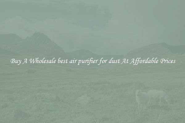 Buy A Wholesale best air purifier for dust At Affordable Prices