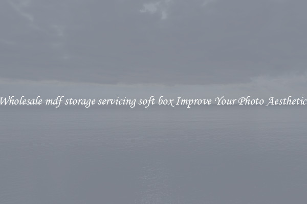 Wholesale mdf storage servicing soft box Improve Your Photo Aesthetics