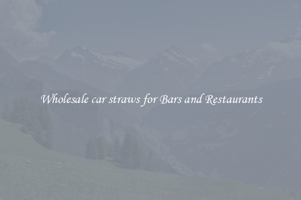 Wholesale car straws for Bars and Restaurants