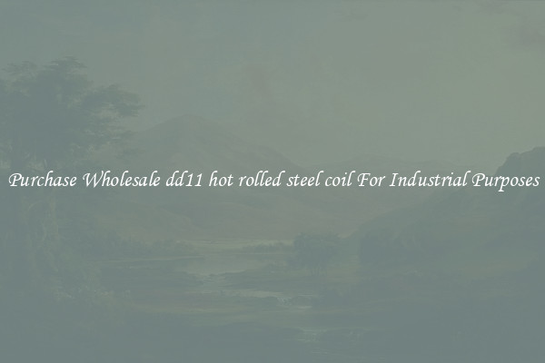 Purchase Wholesale dd11 hot rolled steel coil For Industrial Purposes