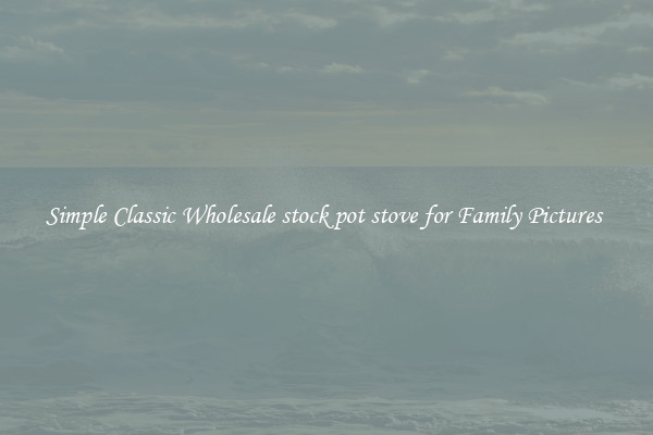 Simple Classic Wholesale stock pot stove for Family Pictures 