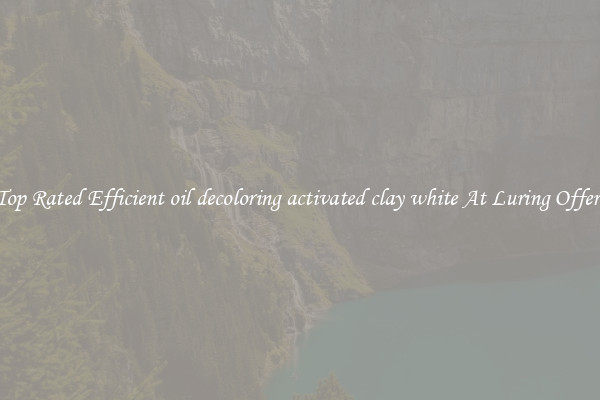 Top Rated Efficient oil decoloring activated clay white At Luring Offers