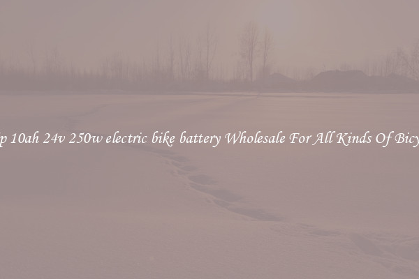 7s5p 10ah 24v 250w electric bike battery Wholesale For All Kinds Of Bicycles