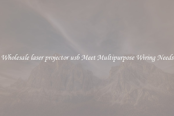 Wholesale laser projector usb Meet Multipurpose Wiring Needs