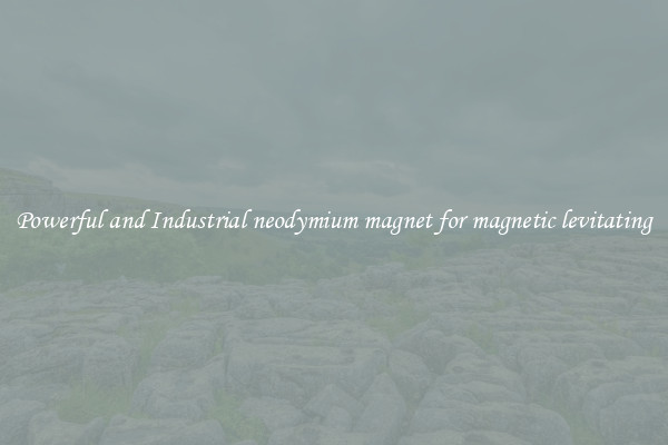 Powerful and Industrial neodymium magnet for magnetic levitating