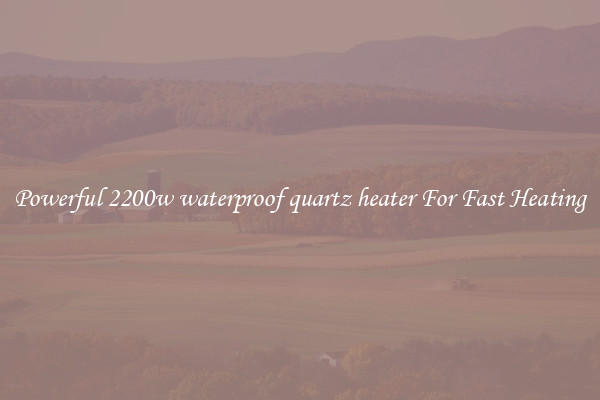 Powerful 2200w waterproof quartz heater For Fast Heating
