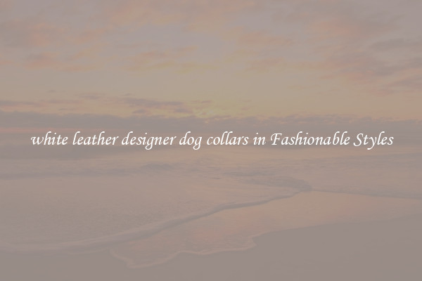 white leather designer dog collars in Fashionable Styles