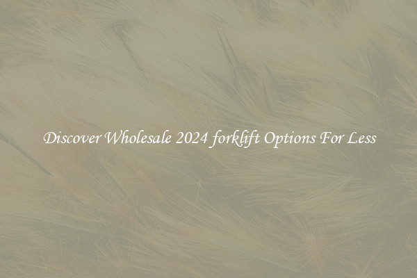 Discover Wholesale 2024 forklift Options For Less