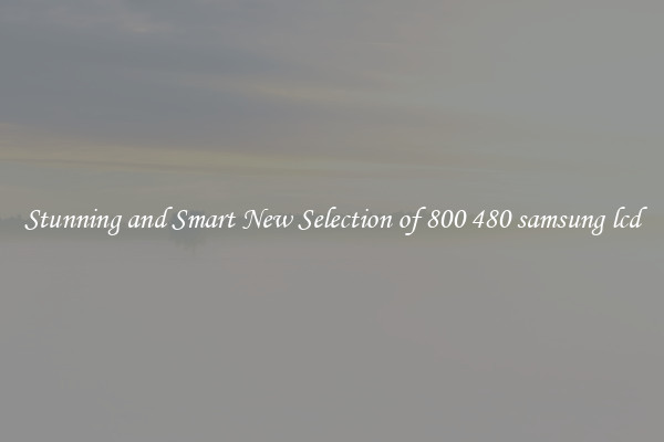 Stunning and Smart New Selection of 800 480 samsung lcd